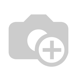 Gitane ORGAN'E-Central