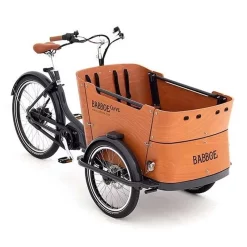 Babboe Curve Mountain 400Wh 2022